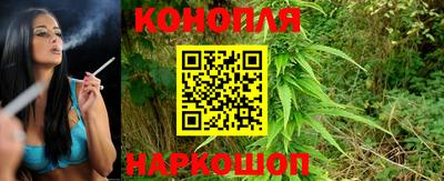 МДПВ Шебекино