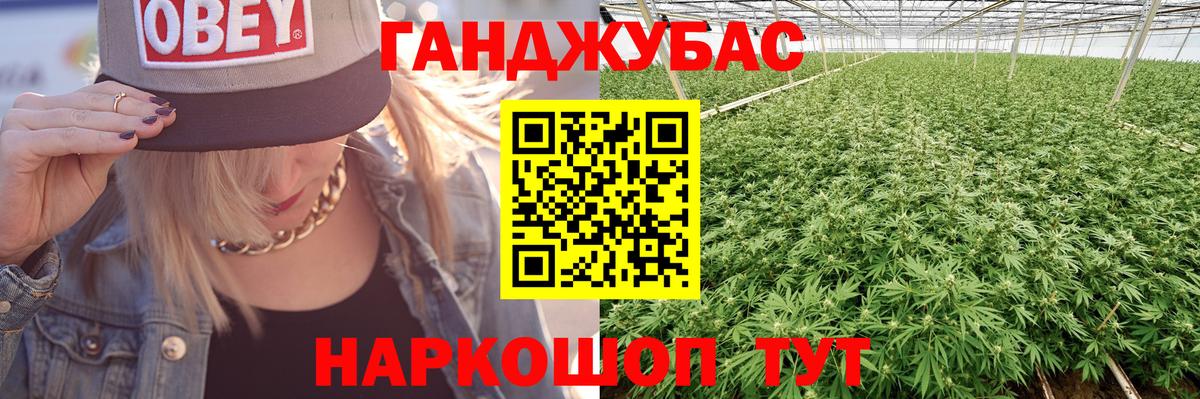 Шишки марихуана гибрид Кудрово